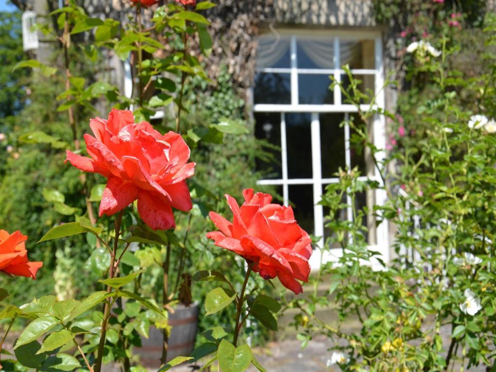 Powis House B&B Stirling Bagian luar foto